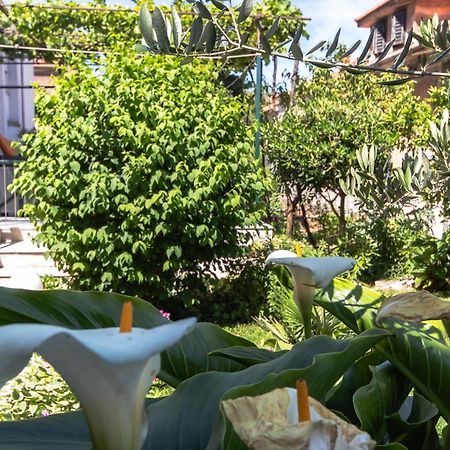 Marjan Hill 3-Br Apt,5 Guests Private Garden Near Beach Split Exterior photo